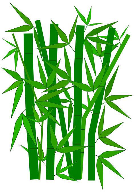 clip art bamboo|free bamboo clip art.